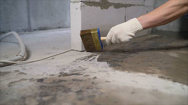 Top rated local Wet Basement Repair specialists in Randolph, AL